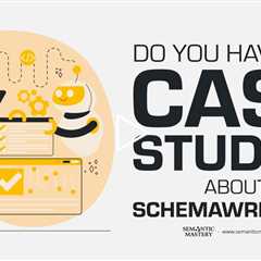 Do You Have Any Case Studies About SchemaWriter.AI?