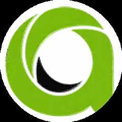 Asia Virtual Solutions