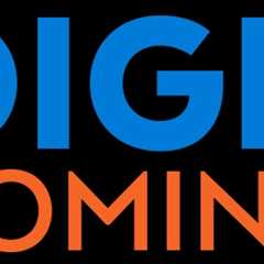 Digital Domination Internet Marketing Service United States