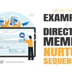 Can You Show Me Examples of Directory Member Nurture Sequences?