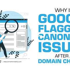 Why Is Google Flagging Canonical Issues After a Domain Change?