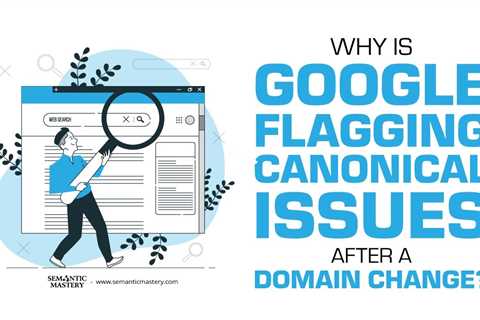Why Is Google Flagging Canonical Issues After a Domain Change?