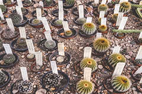 Benefits of Image Sharing And Syndication